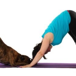 YogaFit Strength