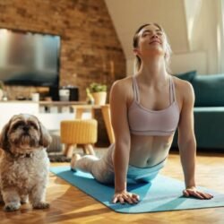 YogaFit Restore